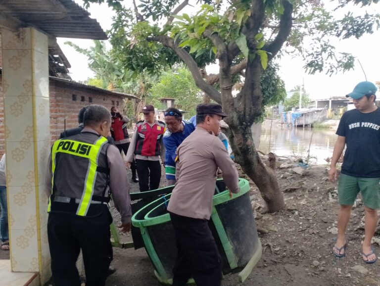 WhatsApp Image 2026-02-01 at 21.38.22